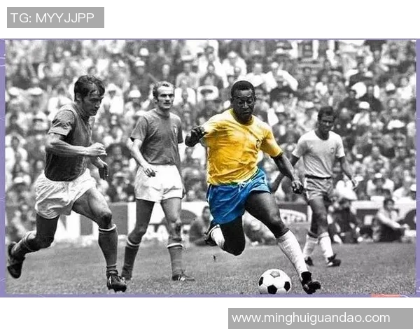 足球传奇贝利的精彩瞬间与战术解析模型图解视频