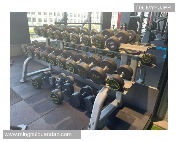 广西户外健身器材的多样选择与健康生活方式的完美结合